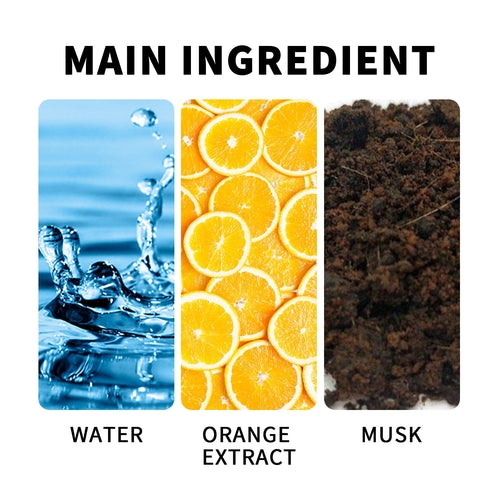 BlueCupid | For Men Perfume Concentrate – 10ml (Dropper Style)