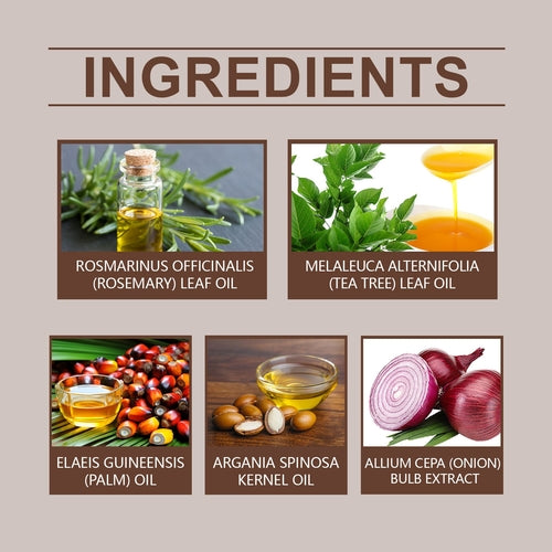 HOEGOA Batana Oil Shampoo – Hair Growth & Scalp Revival (100ml)